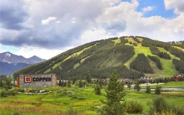 Amazing Pet-friendly Executive Home, Ski-in Walk-out - Lr884 Holiday home